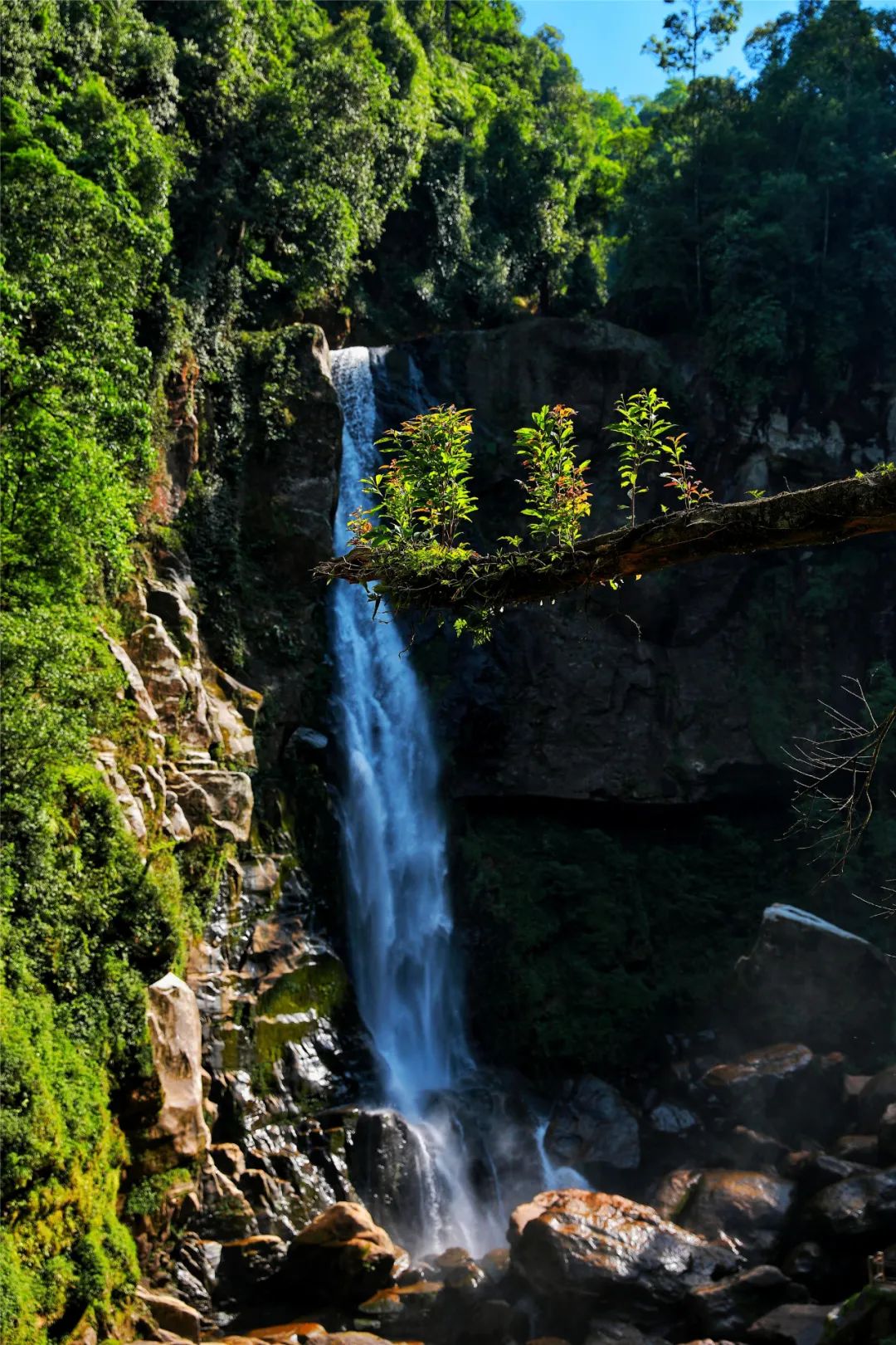 马鞍底蝴蝶大爆发!小编带你身临其境,与蝶共舞