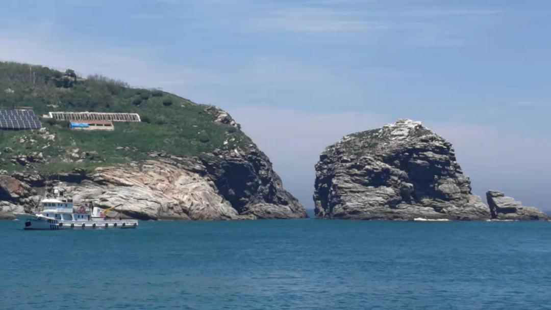 近日,崂山区自然资源局联合崂山公安森警大队登上长门岩岛,对捕猎海鸟