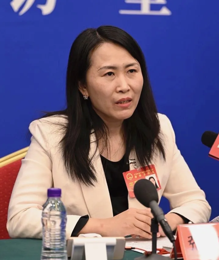 北京市人大代表,北京青少年法律援助与研究中心执行主任 张雪梅