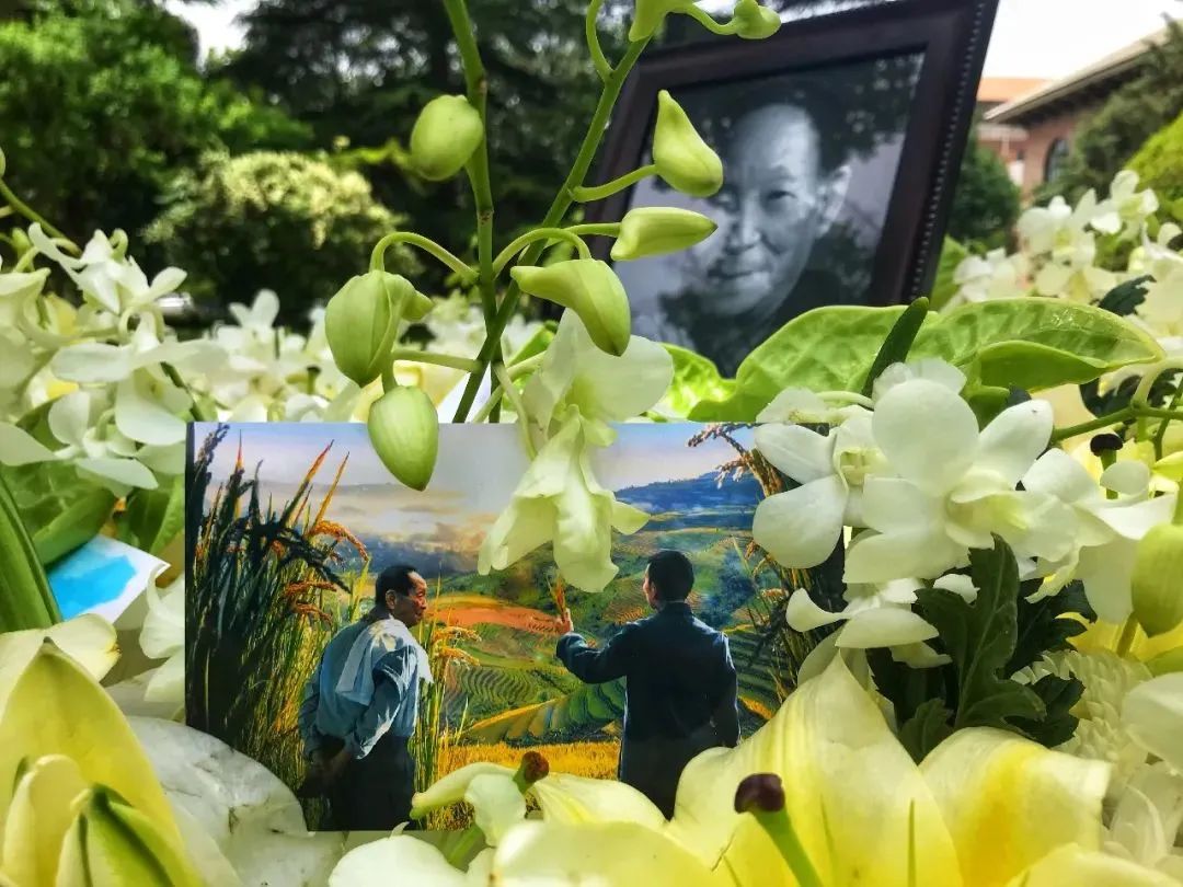 今日,送别袁老!