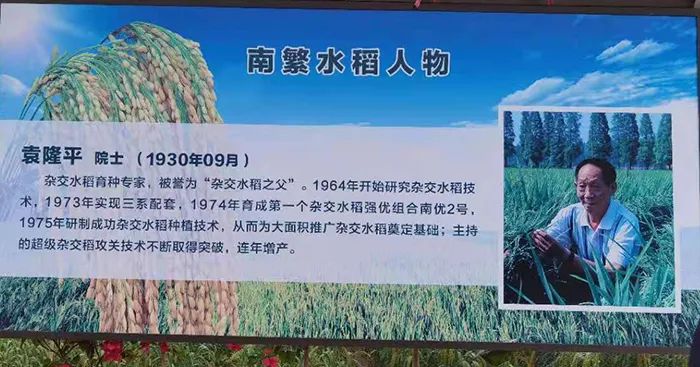 位于南繁育种基地的袁隆平院士介绍展板(记者王祝华 摄)