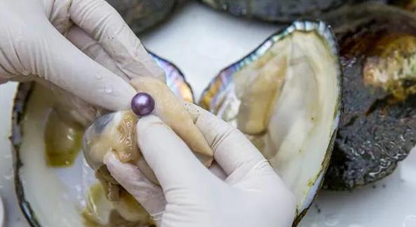 147亿元诸暨这个镇原地起飞