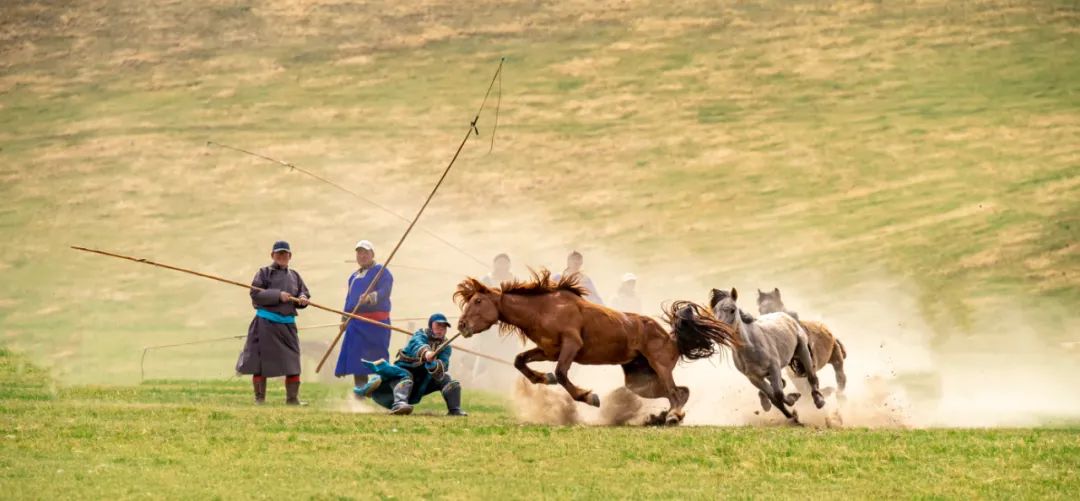 激情套马威武雄壮