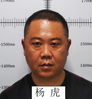 关于公开征集以何跃有为首的黑社会性质组织违法犯罪线索及敦促涉案