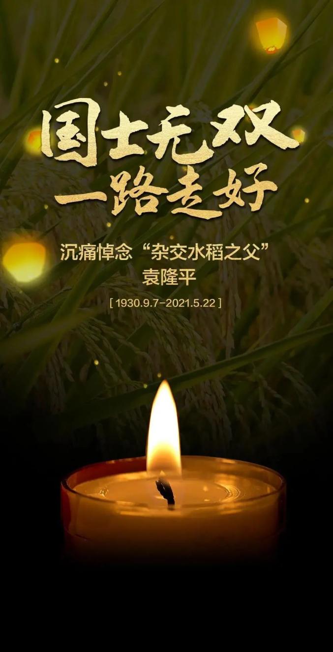 今天,送别袁老!