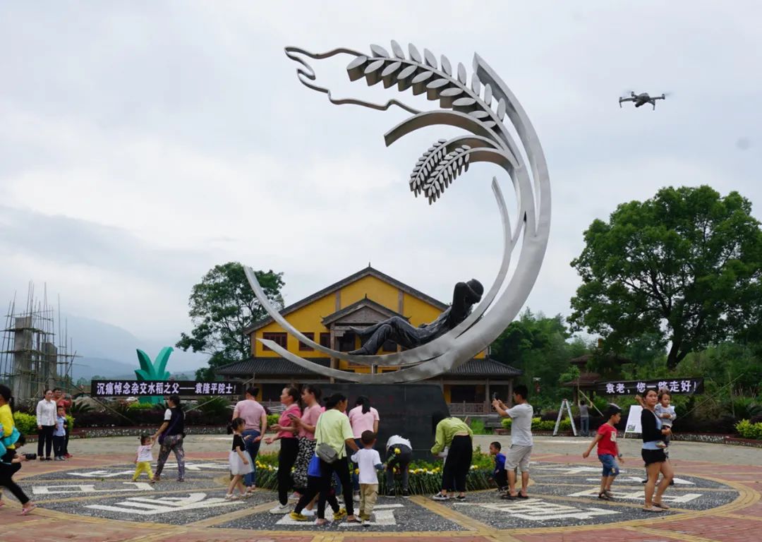 在灌阳县黄关镇联德村稻博园,人们纷纷来到袁隆平"禾下乘凉梦"雕塑前