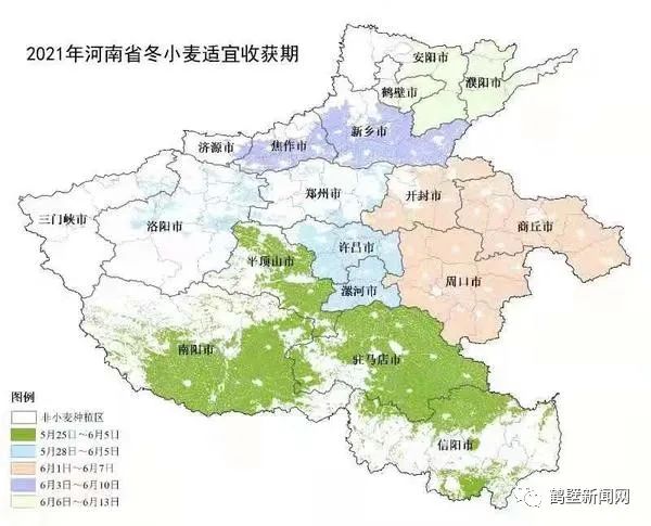 878.jpg