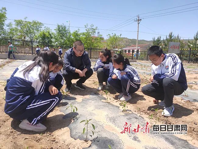 中省媒体看平凉庄浪县南湖中学开心农场进校园劳动实践收获多