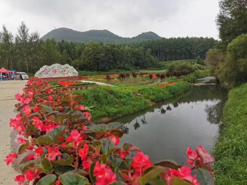 鲜花盛开的长春市九台马鞍山