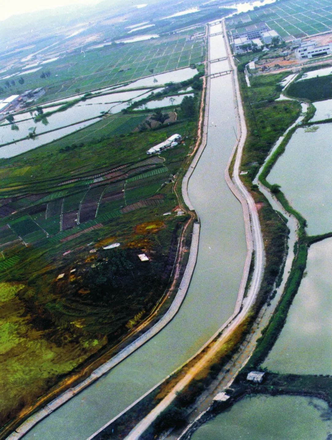 "一不怕苦,二不怕死"东莞人原来是这样治水的!