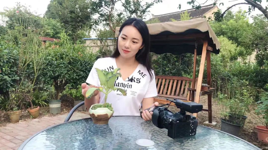 赵慧做有温度的主播