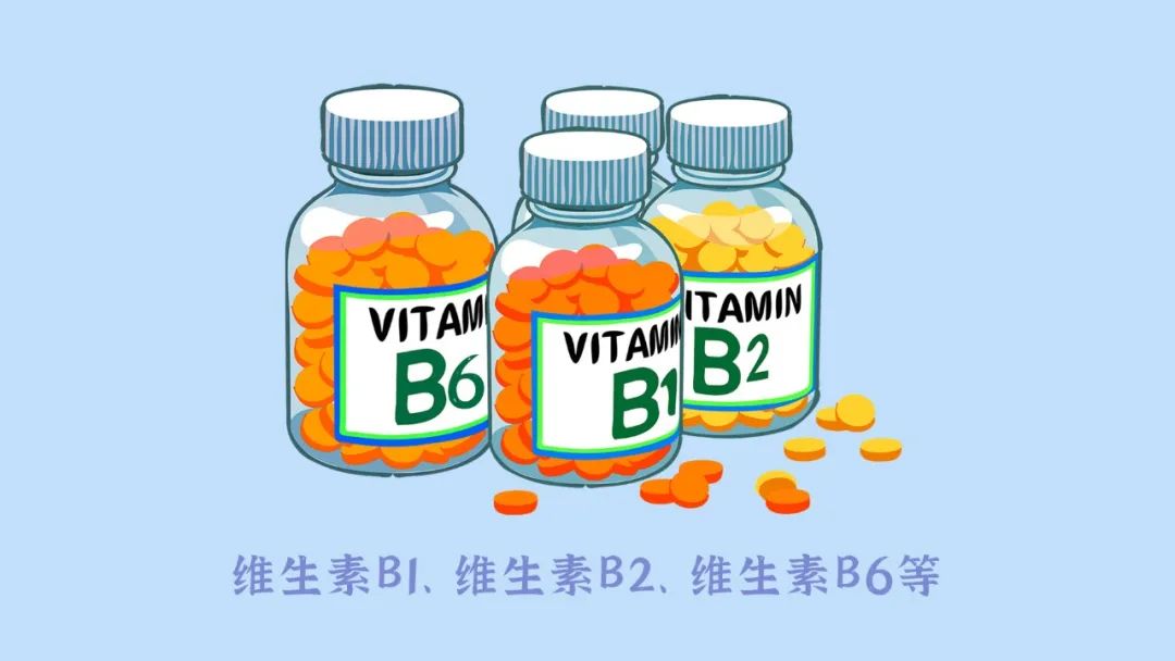 維生素b1,維生素b2,維生素b6等營養物質,它負責機體的新陳代謝,也負責