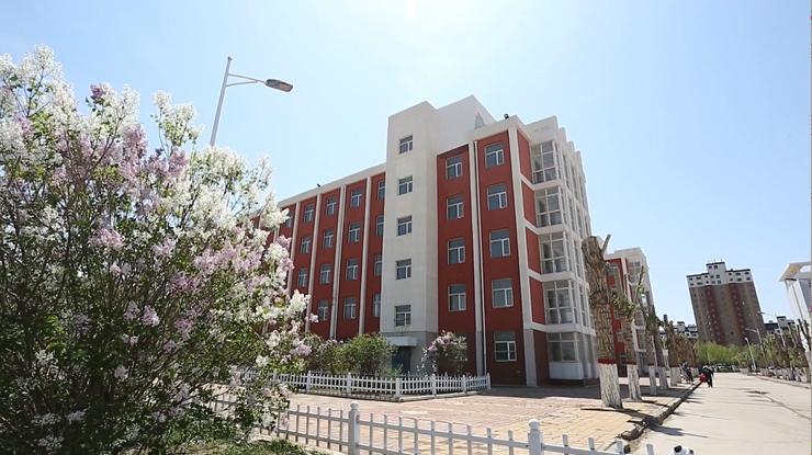 少年强则国强张北三中以优异成绩迎接建党100周年