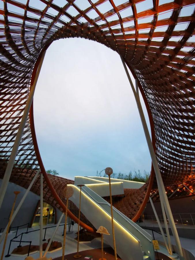 竹藤园(供图:国际竹藤中心)