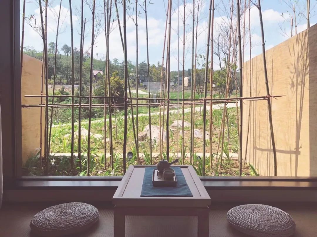 大竹最美民宿来啦