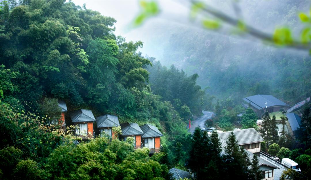 大竹最美民宿来啦