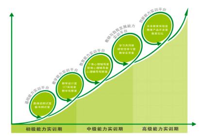  教师专业能力发展模式 _教师专业发展理论与实务_
