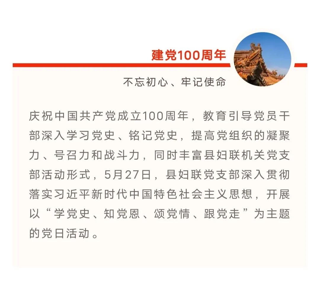 学党史知党恩颂党情跟党走大邑县妇联开展主题党日活动