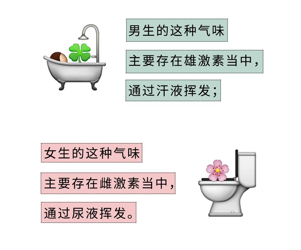 怎么才能让自己的身体闻起来香香的？_澎湃号·湃客_澎湃新闻-The Paper