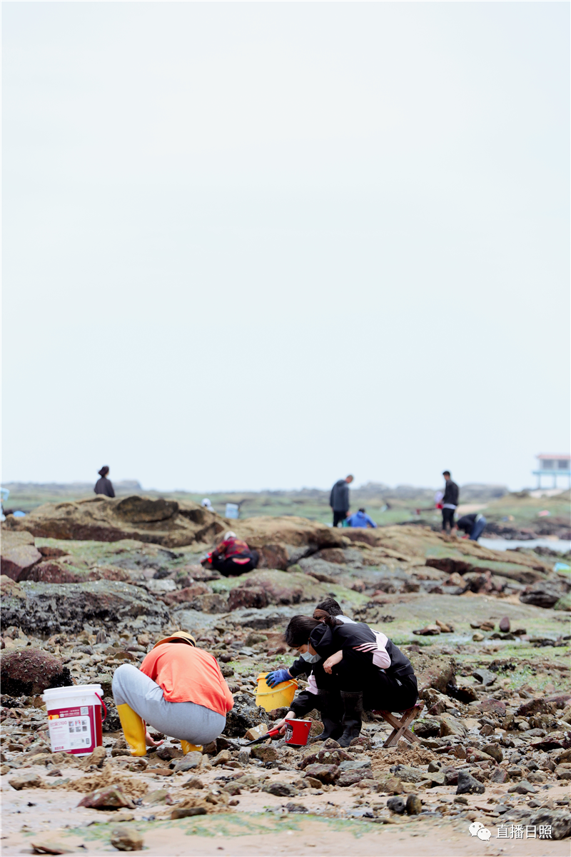经山历海日照邀你来赶海
