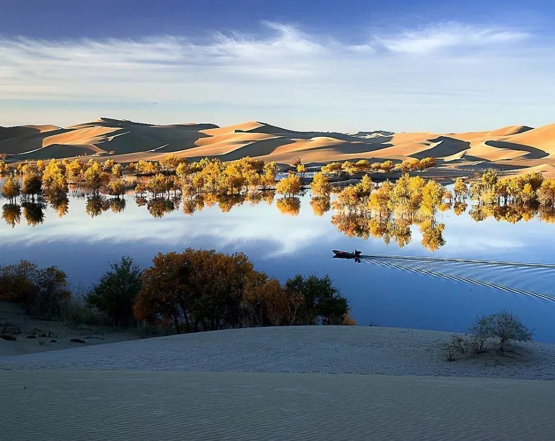 这里是巴州!_政务_澎湃新闻-the paper