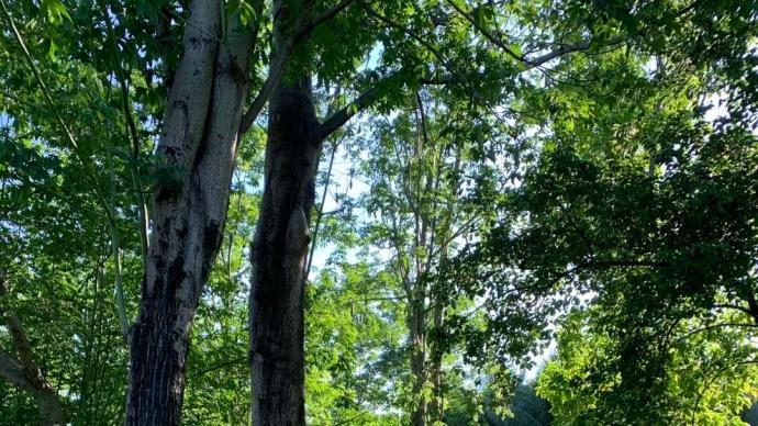 澎湃新闻 专注时政与思想 thepaper.cn