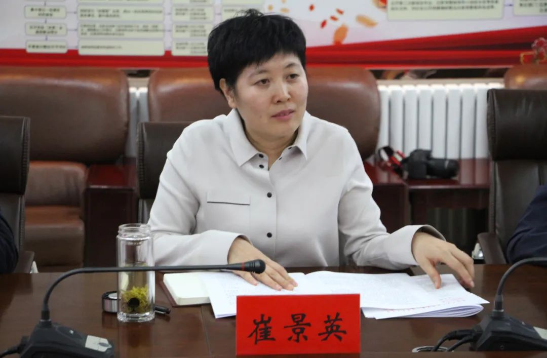 市委副书记政法委书记崔景英到海南区开展专题调研