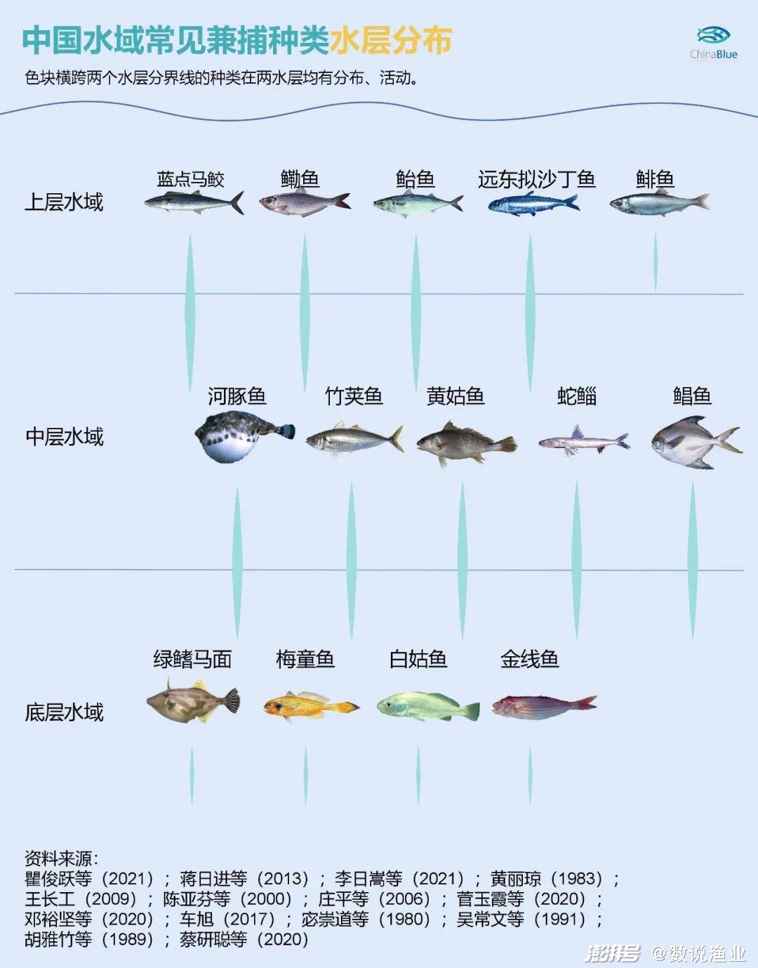 水库鱼类水层分布图图片