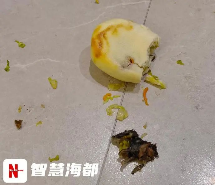 老鼠吃过的食物叮咬图片