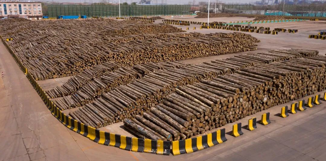 全球首艘!_澎湃号·媒体_澎湃新闻-the paper