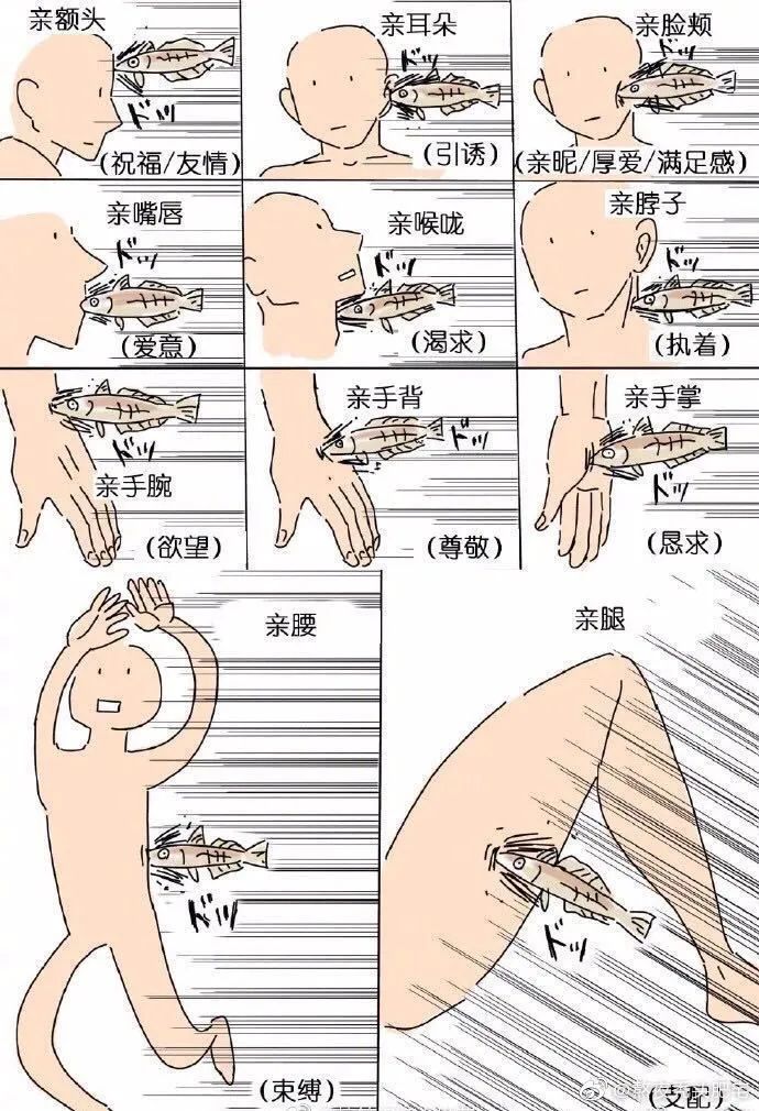 今日全宇宙最涨姿势的十张图