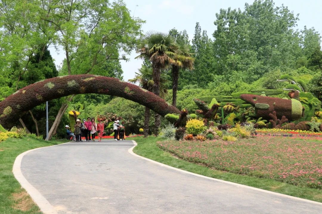 花博会丨南园攻略在此让我们一起感受花香森林的独特魅力吧