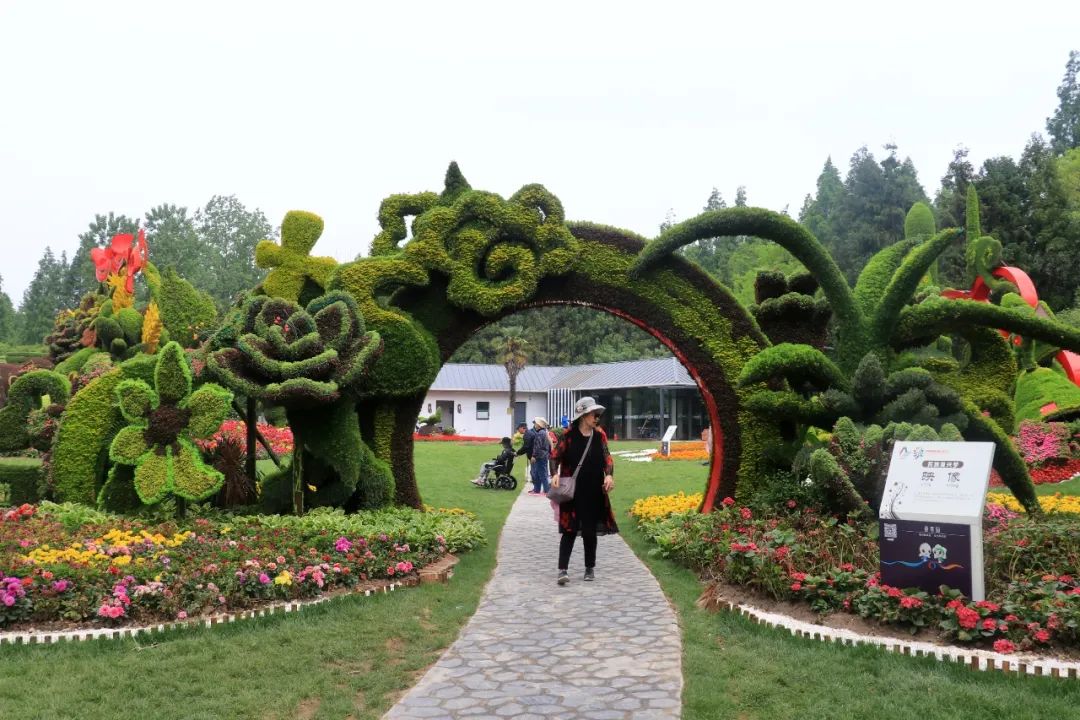 花博会丨南园攻略在此让我们一起感受花香森林的独特魅力吧