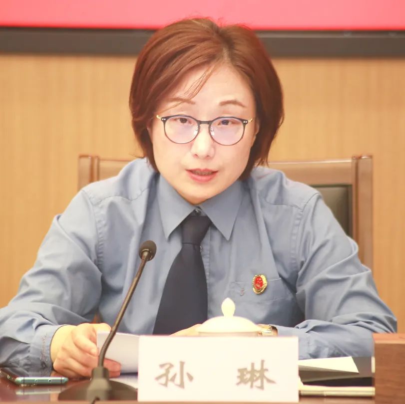 在座谈会上,区法院副院长丁德宏,区检察院副检察长孙琳分别通报了未