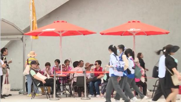 电轮椅怎么不过电这50问答在手，游花博园无忧！_https://www.jmylbn.com_新闻资讯_第2张