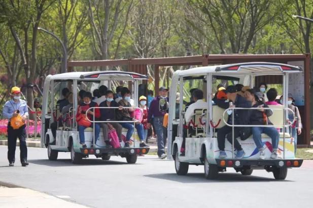 电轮椅怎么不过电这50问答在手，游花博园无忧！_https://www.jmylbn.com_新闻资讯_第9张