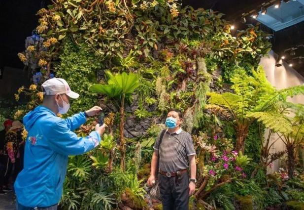 电轮椅怎么不过电这50问答在手，游花博园无忧！_https://www.jmylbn.com_新闻资讯_第22张