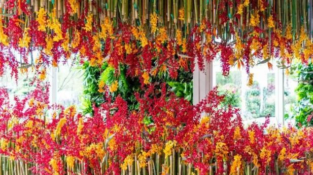 电轮椅怎么不过电这50问答在手，游花博园无忧！_https://www.jmylbn.com_新闻资讯_第20张