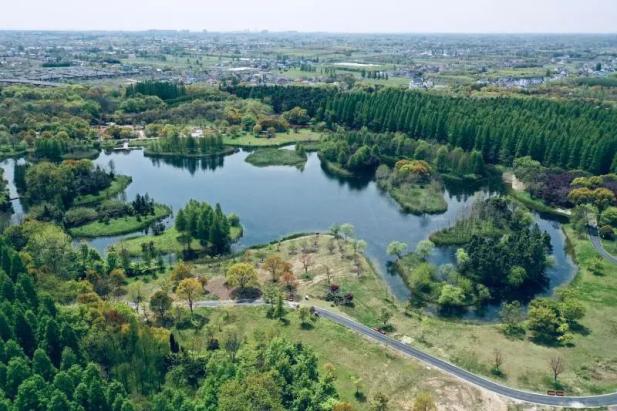 电轮椅怎么不过电这50问答在手，游花博园无忧！_https://www.jmylbn.com_新闻资讯_第21张