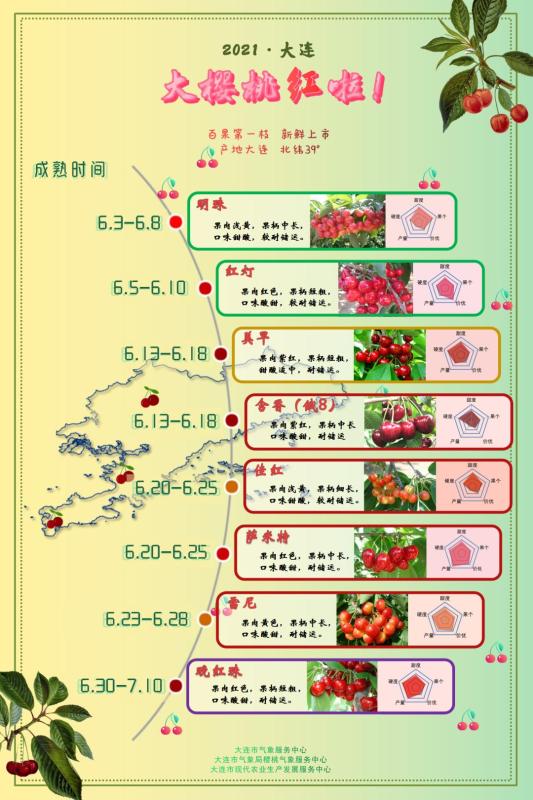 今年大连樱桃何时成熟