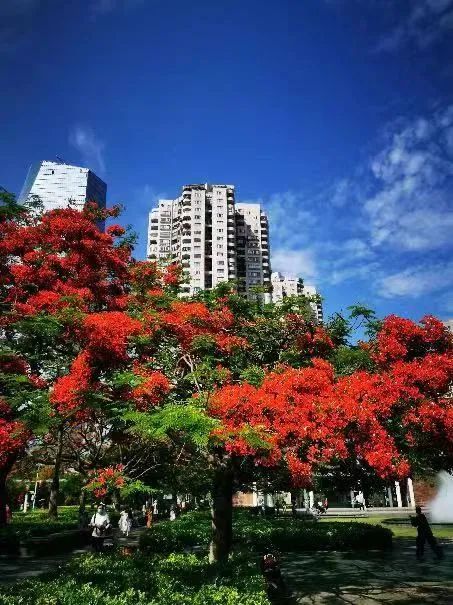 深圳:未来5年大力引育名校漯河电脑学校长名教师及高精尖缺卫生健康人才