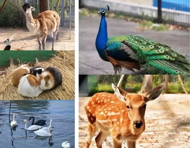 六月即将到来,下半年的泰安更美好!