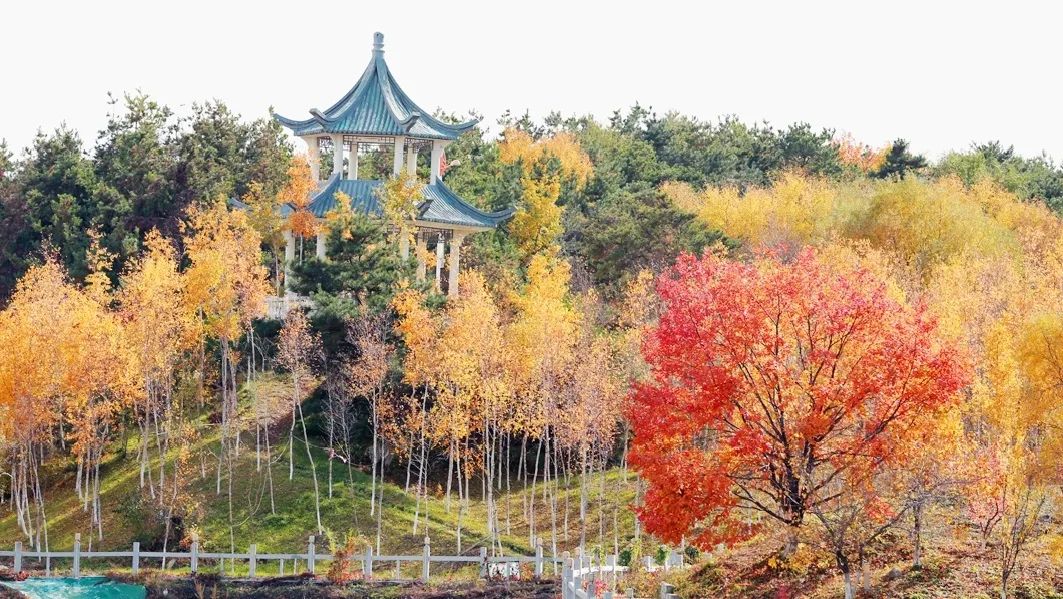 培育智德婵媛巾帼才淑百年女校润泽秀外慧中东方丽人白山松水