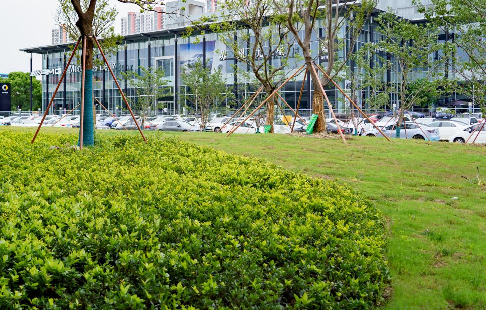 38个景观项目190万平方米绿化