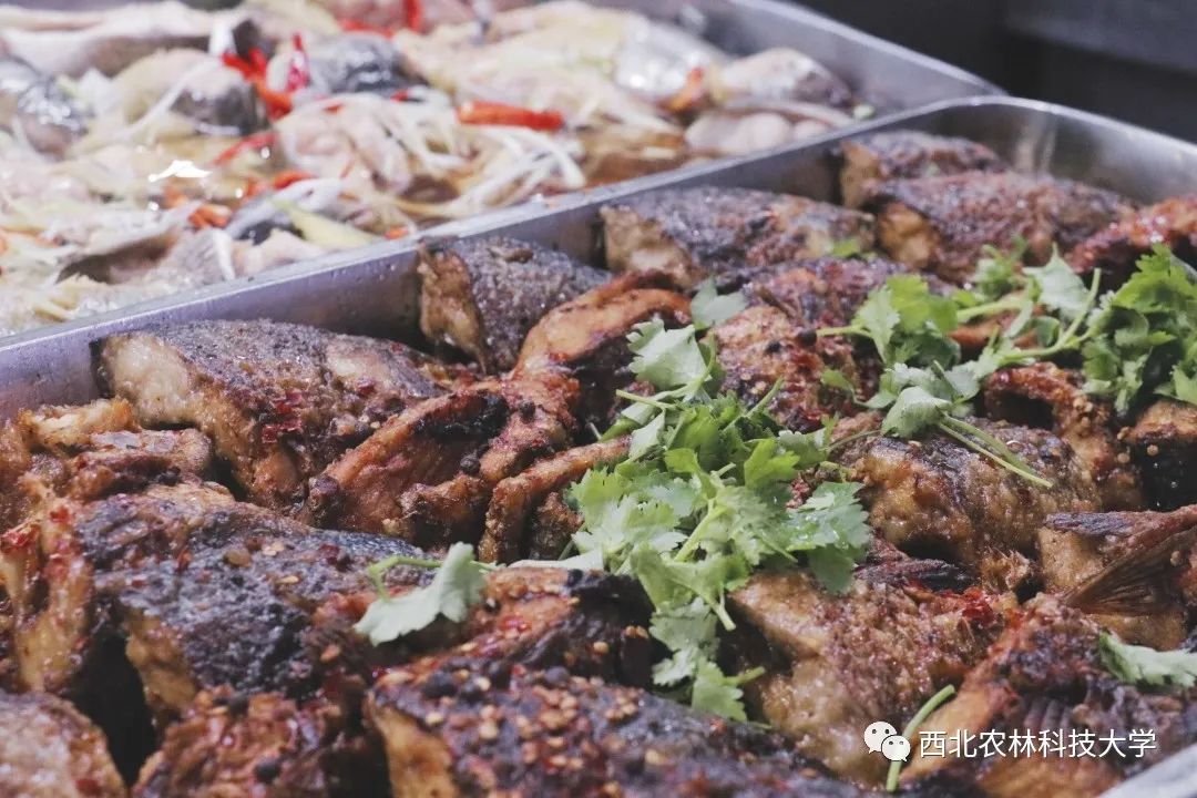 最后10天放手一搏西北农林科技大学为你加油