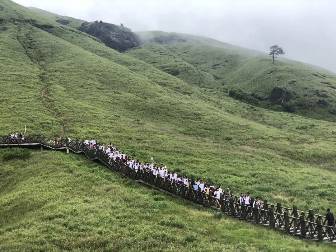 他们一路登山 途径好汉坡,吊马桩,星空栈道 奇峰怪石,飞瀑流泉,高山