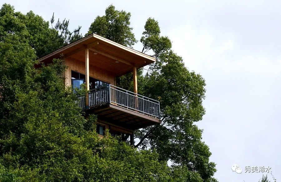 我,就在这山河间不用多言坐拥梓木山林面朝白莲水库浠水梓木山庄比如