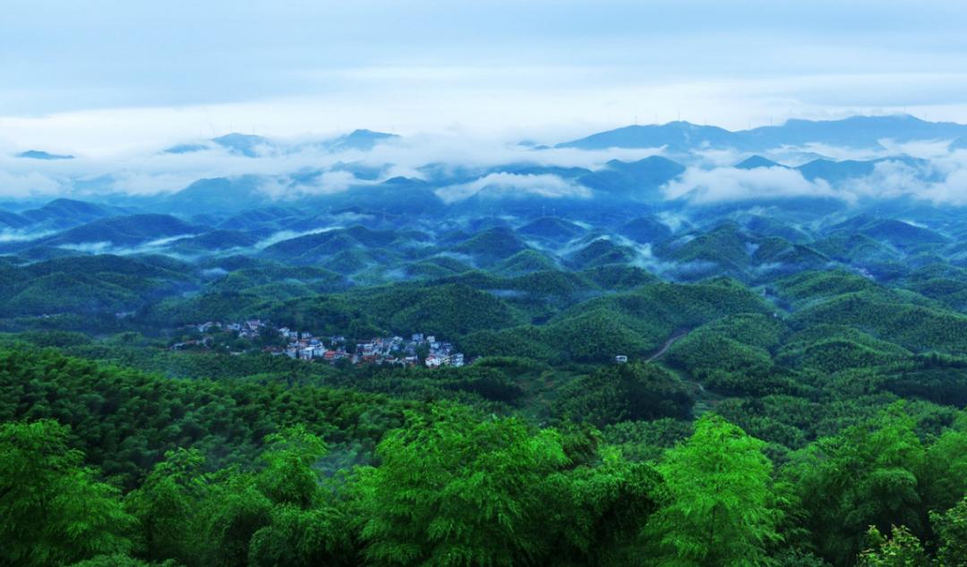 潛山國家森林公園樹蔭往往搭配陽光.