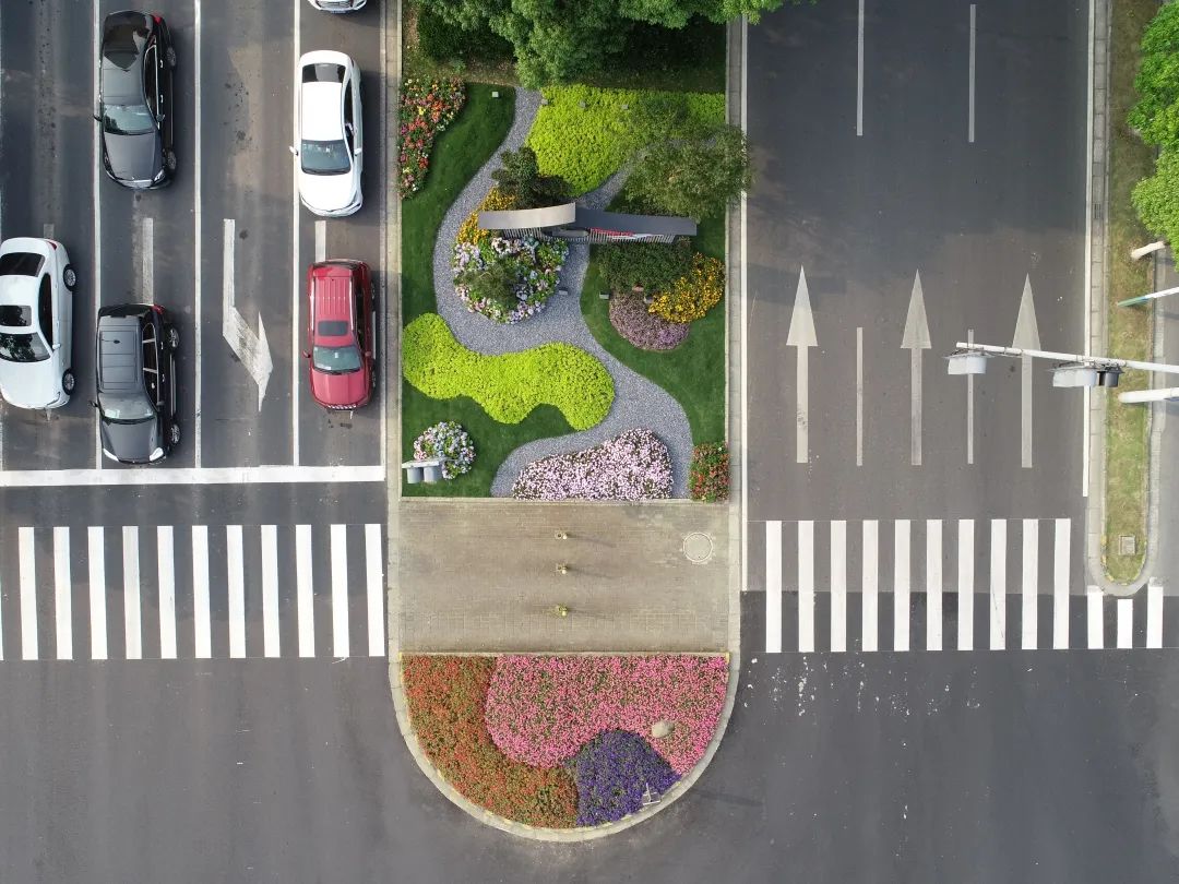 人在路上走宛如画中游