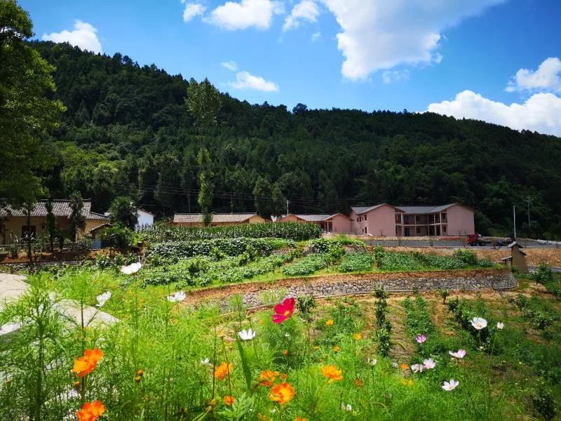 巴中平昌华山村产业发展助力乡村振兴